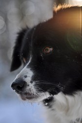 DSC_5703 - Kopie.JPG